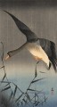 white fronted goose descending over reeds Ohara Koson Japanese